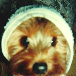 �e�R���h�[�ł��邻���ł�