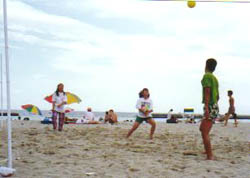 �e�R���h�[�����ł͂���܂���