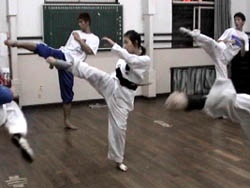 テコンドー融心館は長居公園通りに有ります。長居駅からも近いですよ。